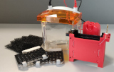 Protein-Blotting
