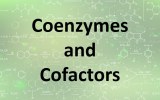 Coenzyme und Cofaktoren