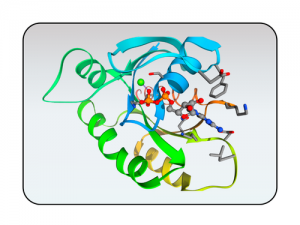 Proteinanalyse