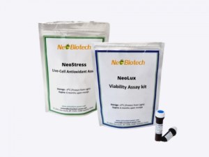 Oxidativen Stress besser messen – lebende Zellen und biochemische Marker