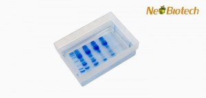 Western Blot Low-Cost Basics – 30% OFF