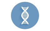 DNA polymerases for conventional PCR