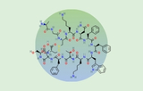 Somatostatin