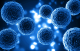 Células de enfermedades metabólicas