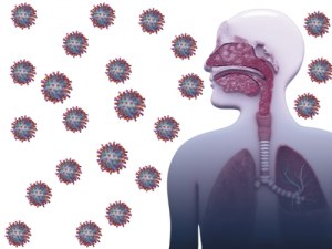 ¡Soluciones completas para la investigación de virus respiratorios!