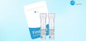 ¡Ahorre un 25 % en anticuerpos para citometría de flujo FineTest!