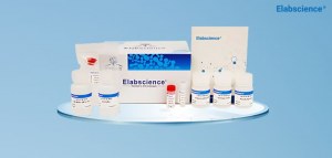 ¡Ahorre un 15 % en todas las proteínas recombinantes de Elabscience!