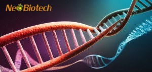 50 % DE DESCUENTO en reactivos de PCR/qPCR de Neo Biotech