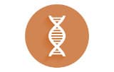 ADN polymérases pour PCR rapide