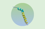 Corticotropin-releasing hormone