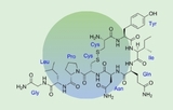 Ocytocine