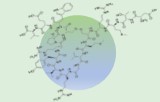 Hormone de mélano-concentration