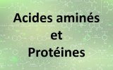 Kits de dosage des acides aminés et des protéines