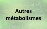 Autres métabolismes