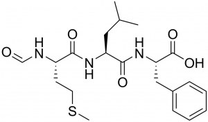 Service à façon : Synthèse de peptide