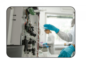 Production et purification de protéine en système eucaryote