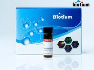 Outils de détection de la viabilité cellulaire et de l'apoptose