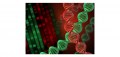 Neodye DNA Red : Meilleure Alternative à l'EtBr