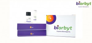 40 % de réduction sur les anticorps primaires : des outils essentiels pour votre recherche