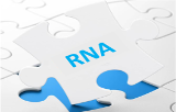 Extraction de l'ARN