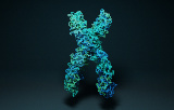 Estrazione di acidi nucleici