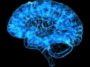 Tessuti cerebrali, cellule neurali e campioni molecolari per la ricerca