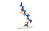 Polymeerdetectiemethode
