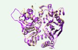 Glutamaatdehydrogenase