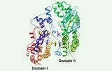 Isocitraatdehydrogenase-activiteitstest