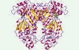 FosfoSens kinase-activiteitstest