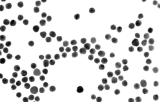 Nanodeeltjes