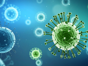 Hulpmiddelen voor detectie en onderzoek van het Nipah-virus