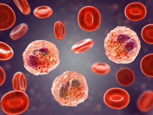 Menselijke biologische monsters voor immunologisch onderzoek