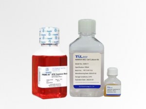 Vooruitgang in cel- en gentherapie met geoptimaliseerde kweekmedia