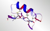 Peptiden