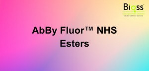 Achieve Precise Biomolecule Labeling with AbBy Fluor™ Dyes – Now 30% OFF
