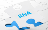 RNA extraction