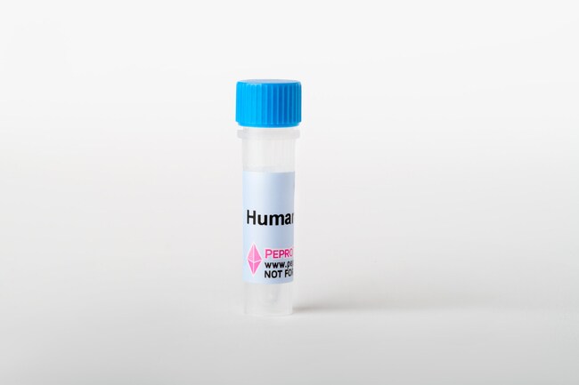 Murine Hematopoietic Stem Cell Expansion Cytokine Package (IL-3), PeproTech®
