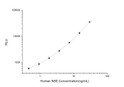 Human ENO2 (Gamma-enolase) CLIA Kit for Quantitative Detection