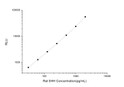 Rat SHH (Sonic Hedgehog Protein) CLIA Kit for Quantitative Detection