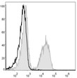 Mouse splenocytes were stained with Anti-CD19 antibody (STJA0000005) (filled gray histogram). Unstained splenocytes (blank black histogram) were used as control.