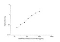 Rat Nos3 (Nitric oxide synthase, endothelial) Sandwich ELISA Kit (STJE0005705)
