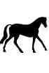 Cavalo