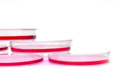 McCoy’s 5A Medium for cell culture 