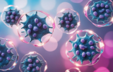 Células primárias derivadas do tumor