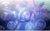 Cell & gene therapy