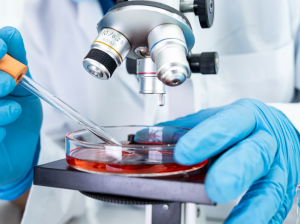 Aceda a amostras biológicas humanas para a sua investigação em oncologia!