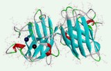 Ensaio de atividade da superóxido dismutase