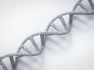 Da extração à sequência: Ferramentas de Biologia Molecular para cada etapa