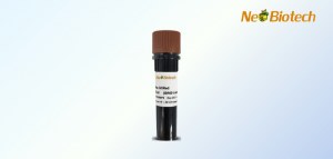 NeoDye: Reagentes para coloração de gel de ADN com 30% de desconto